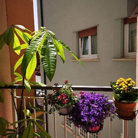 Apuleio 11 Daire Roma Dış mekan fotoğraf